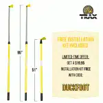 Aardvark Amazon Images 150x150